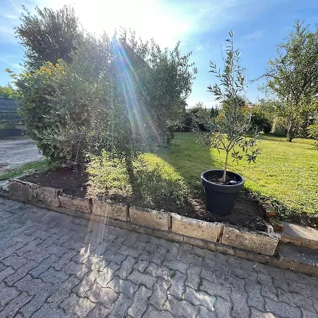 Maison Dans Le Vignoble Villa